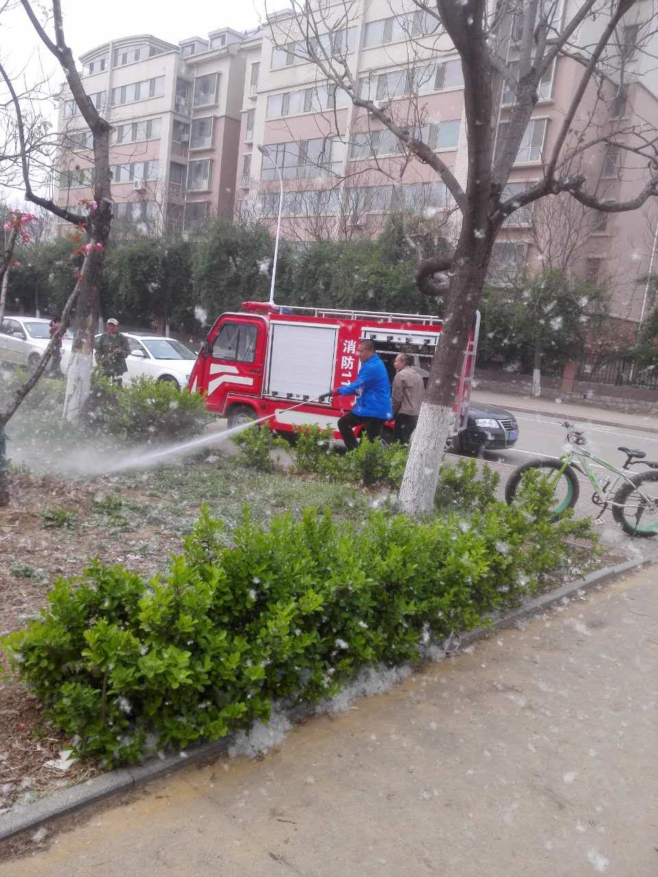 杨絮柳絮满天飞,保卫人员忙治理